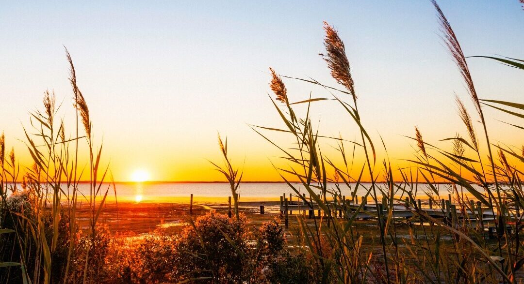 The August Booking Window: How Smart Vacation Rental Owners Keep Summer Momentum Going